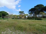 Quinta T4 - Santa Margarida da Serra, Gr�ndola, Set�bal - Miniatura: 4/9