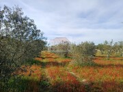 Quinta > T6 - Santa Margarida da Serra, Gr�ndola, Set�bal - Miniatura: 4/7