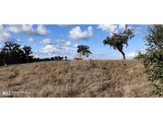 Terreno Urbano - Santa Margarida da Serra, Gr�ndola, Set�bal - Miniatura: 5/9