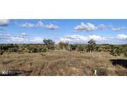 Terreno Urbano - Santa Margarida da Serra, Gr�ndola, Set�bal - Miniatura: 6/9