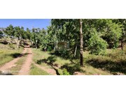 Terreno R�stico - S�o Francisco da Serra, Santiago do Cac�m, Set�bal - Miniatura: 2/9