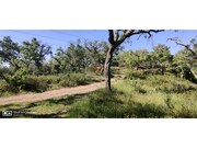 Terreno R�stico - S�o Francisco da Serra, Santiago do Cac�m, Set�bal - Miniatura: 7/9