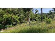 Terreno R�stico - S�o Francisco da Serra, Santiago do Cac�m, Set�bal - Miniatura: 8/9