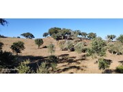 Terreno Urbano - Santa Margarida da Serra, Gr�ndola, Set�bal - Miniatura: 2/9