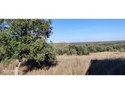 Terreno Urbano - Santa Margarida da Serra, Gr�ndola, Set�bal - Miniatura: 5/9