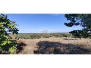 Terreno Urbano - Santa Margarida da Serra, Gr�ndola, Set�bal - Miniatura: 8/9