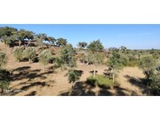 Terreno Urbano - Santa Margarida da Serra, Gr�ndola, Set�bal - Miniatura: 9/9
