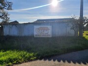 Terreno Urbano - Santa Margarida da Serra, Gr�ndola, Set�bal - Miniatura: 9/9