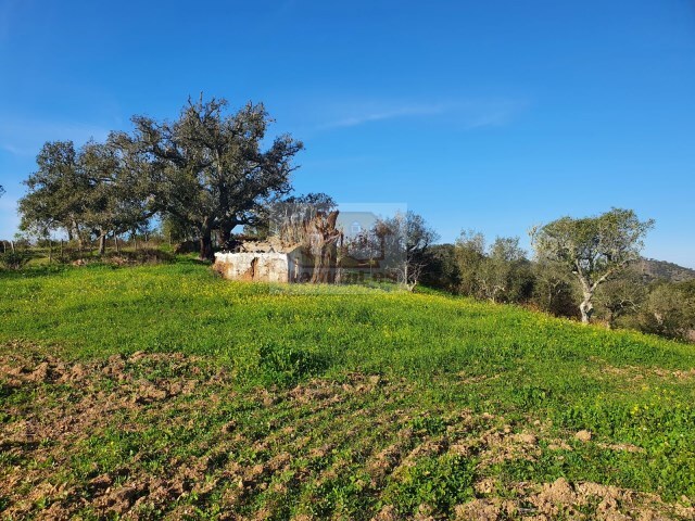 Quinta - Santa Margarida da Serra, Grndola, Setbal - Imagem grande