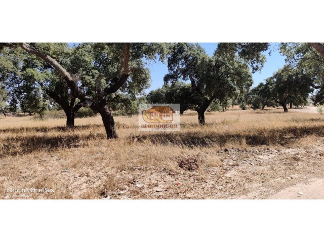 Terreno Urbano - Santa Margarida da Serra, Grândola, Setúbal - Imagem grande