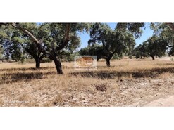 Terreno Urbano - Santa Margarida da Serra, Grndola, Setbal