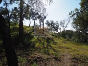 Terreno R�stico - S�o Francisco da Serra, Santiago do Cac�m, Set�bal - Miniatura: 4/7