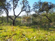 Terreno R�stico - S�o Francisco da Serra, Santiago do Cac�m, Set�bal - Miniatura: 5/7