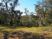 Terreno R�stico - S�o Francisco da Serra, Santiago do Cac�m, Set�bal - Miniatura: 7/7