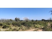 Terreno R�stico - S�o Francisco da Serra, Santiago do Cac�m, Set�bal - Miniatura: 5/9