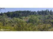 Terreno R�stico - S�o Francisco da Serra, Santiago do Cac�m, Set�bal - Miniatura: 6/9