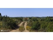 Terreno R�stico - S�o Francisco da Serra, Santiago do Cac�m, Set�bal - Miniatura: 7/9