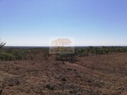 Terreno R�stico - S�o Francisco da Serra, Santiago do Cac�m, Set�bal - Miniatura: 8/9
