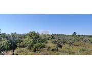 Terreno R�stico - S�o Francisco da Serra, Santiago do Cac�m, Set�bal - Miniatura: 9/9
