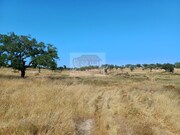 Terreno Rstico - Abela, Santiago do Cacm, Setbal - Miniatura: 2/9