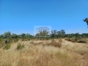 Terreno Rstico - Abela, Santiago do Cacm, Setbal - Miniatura: 5/9