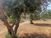 Quinta T3 - Santa Margarida da Serra, Grndola, Setbal - Miniatura: 3/9