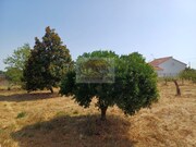 Quinta T3 - Santa Margarida da Serra, Grndola, Setbal - Miniatura: 8/9