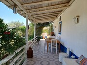 Quinta T3 - Santa Margarida da Serra, Grndola, Setbal - Miniatura: 9/9