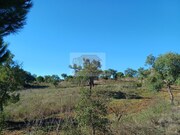 Terreno Urbano - S�o Francisco da Serra, Santiago do Cac�m, Set�bal - Miniatura: 8/9