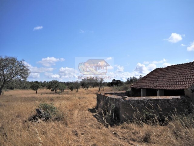 Terreno R�stico - Santa Margarida da Serra, Gr�ndola, Set�bal - Imagem grande