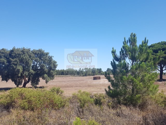 Quinta T2 - Melides, Gr�ndola, Set�bal - Imagem grande