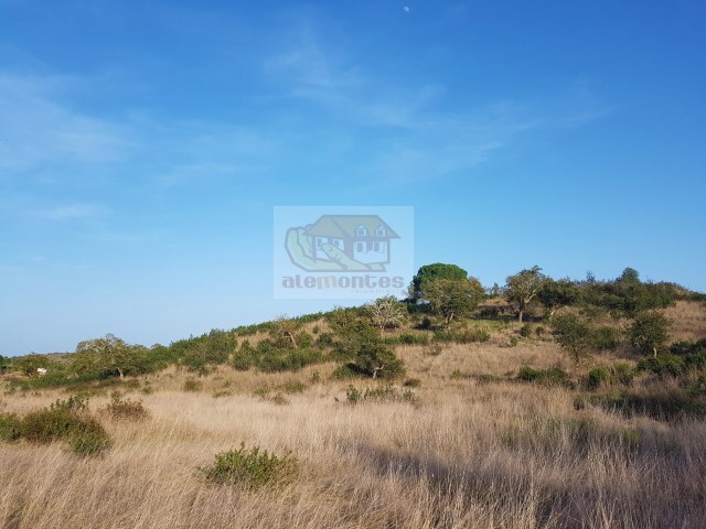 Terreno R�stico - Santa Margarida da Serra, Gr�ndola, Set�bal - Imagem grande