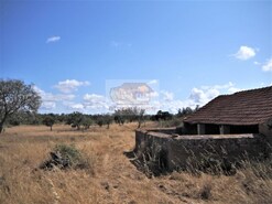 Terreno R�stico - Santa Margarida da Serra, Gr�ndola, Set�bal