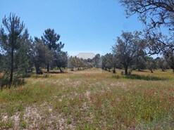 Terreno R�stico - Santa Margarida da Serra, Gr�ndola, Set�bal