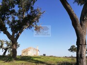 Terreno Urbano - Santa Margarida da Serra, Gr�ndola, Set�bal