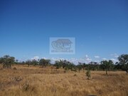 Terreno R�stico - Santa Margarida da Serra, Gr�ndola, Set�bal - Miniatura: 2/7
