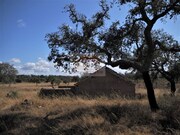 Terreno R�stico - Santa Margarida da Serra, Gr�ndola, Set�bal - Miniatura: 3/7