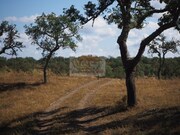 Terreno R�stico - Santa Margarida da Serra, Gr�ndola, Set�bal - Miniatura: 6/7