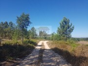 Quinta T2 - Melides, Gr�ndola, Set�bal - Miniatura: 2/7