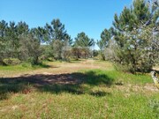 Terreno R�stico - Santa Margarida da Serra, Gr�ndola, Set�bal - Miniatura: 1/3