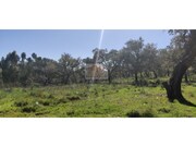 Terreno R�stico - S�o Francisco da Serra, Santiago do Cac�m, Set�bal - Miniatura: 1/9