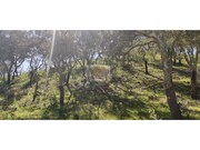 Terreno R�stico - S�o Francisco da Serra, Santiago do Cac�m, Set�bal - Miniatura: 5/9