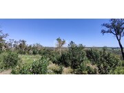 Terreno R�stico - S�o Francisco da Serra, Santiago do Cac�m, Set�bal - Miniatura: 7/9