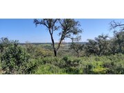 Terreno R�stico - S�o Francisco da Serra, Santiago do Cac�m, Set�bal - Miniatura: 8/9