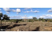 Terreno Urbano - Santa Margarida da Serra, Gr�ndola, Set�bal - Miniatura: 5/9