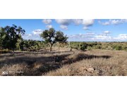 Terreno Urbano - Santa Margarida da Serra, Gr�ndola, Set�bal - Miniatura: 6/9