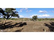 Terreno Urbano - Santa Margarida da Serra, Gr�ndola, Set�bal - Miniatura: 8/9