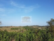 Terreno R�stico - Santa Margarida da Serra, Gr�ndola, Set�bal - Miniatura: 1/9
