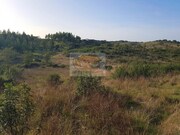 Terreno R�stico - Santa Margarida da Serra, Gr�ndola, Set�bal - Miniatura: 4/9