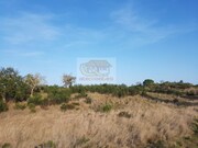 Terreno R�stico - Santa Margarida da Serra, Gr�ndola, Set�bal - Miniatura: 6/9